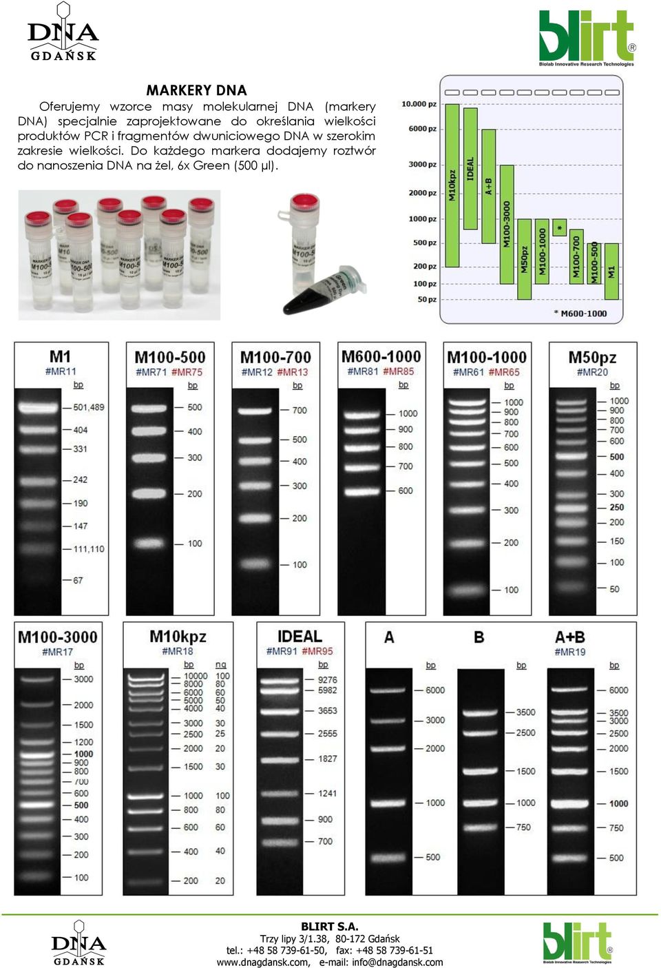 fragmentów dwuniciowego DNA w szerokim zakresie wielkości.