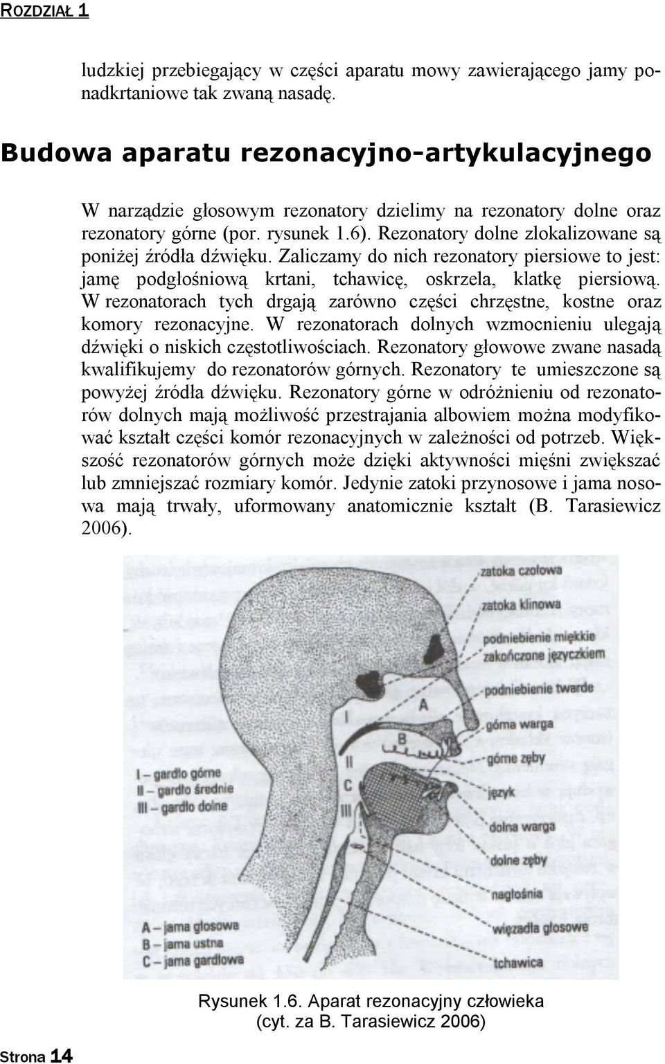 Rezonatory dolne zlokalizowane są poniżej źródła dźwięku. Zaliczamy do nich rezonatory piersiowe to jest: jamę podgłośniową krtani, tchawicę, oskrzela, klatkę piersiową.
