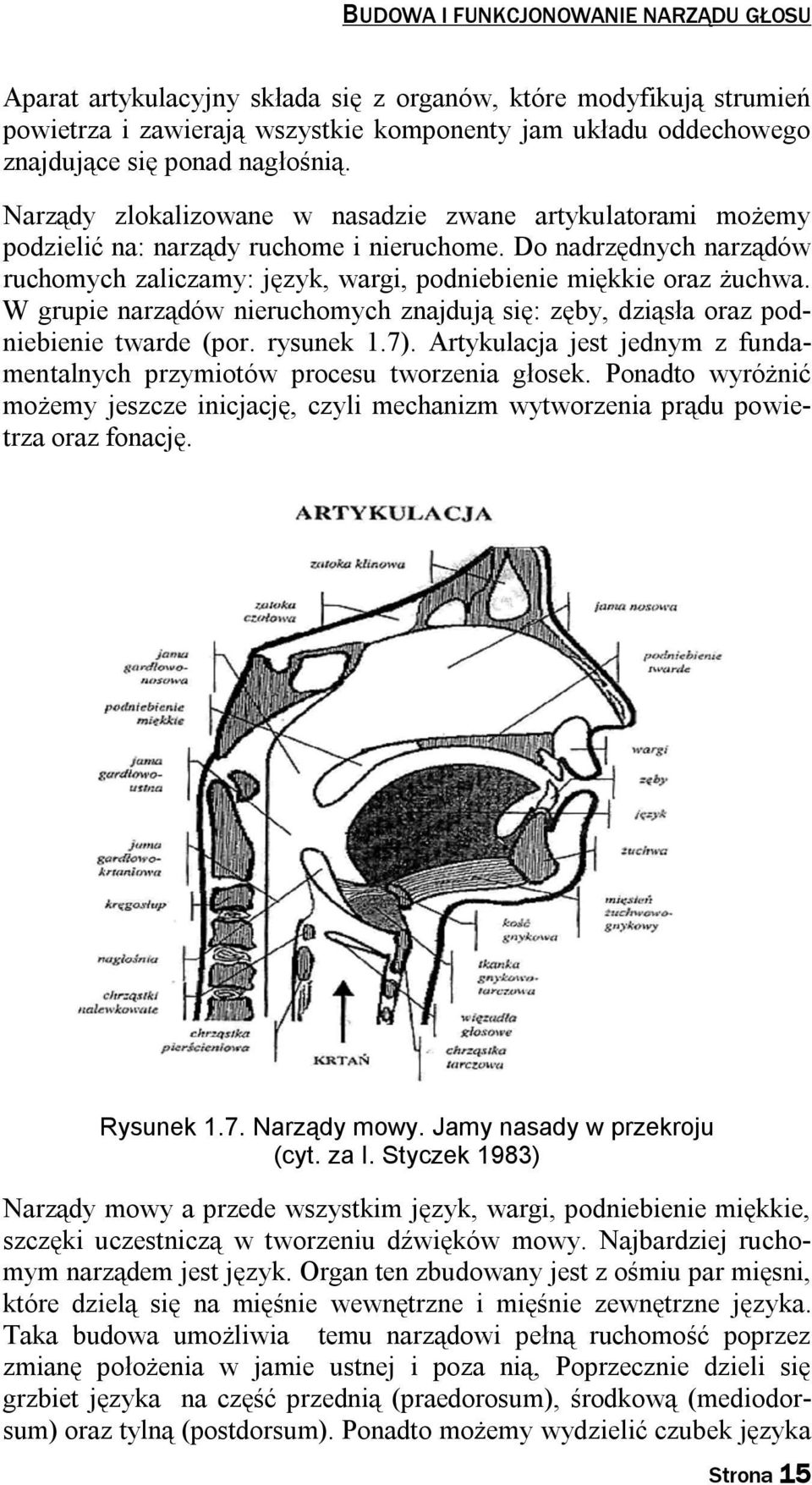 Do nadrzędnych narządów ruchomych zaliczamy: język, wargi, podniebienie miękkie oraz żuchwa. W grupie narządów nieruchomych znajdują się: zęby, dziąsła oraz podniebienie twarde (por. rysunek 1.7).