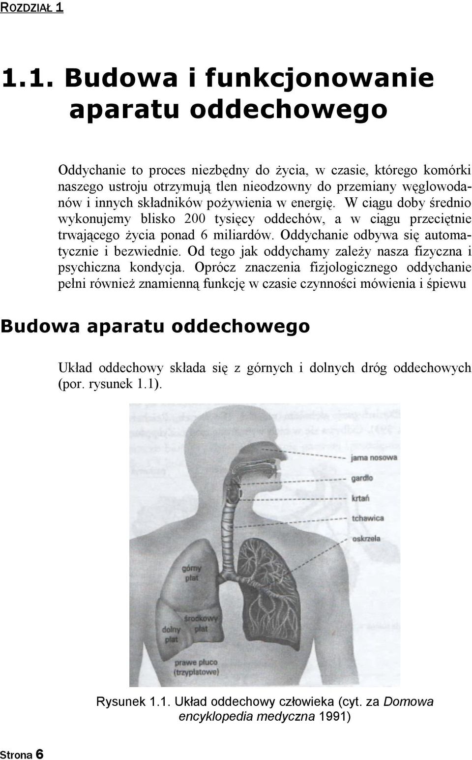 składników pożywienia w energię. W ciągu doby średnio wykonujemy blisko 200 tysięcy oddechów, a w ciągu przeciętnie trwającego życia ponad 6 miliardów.