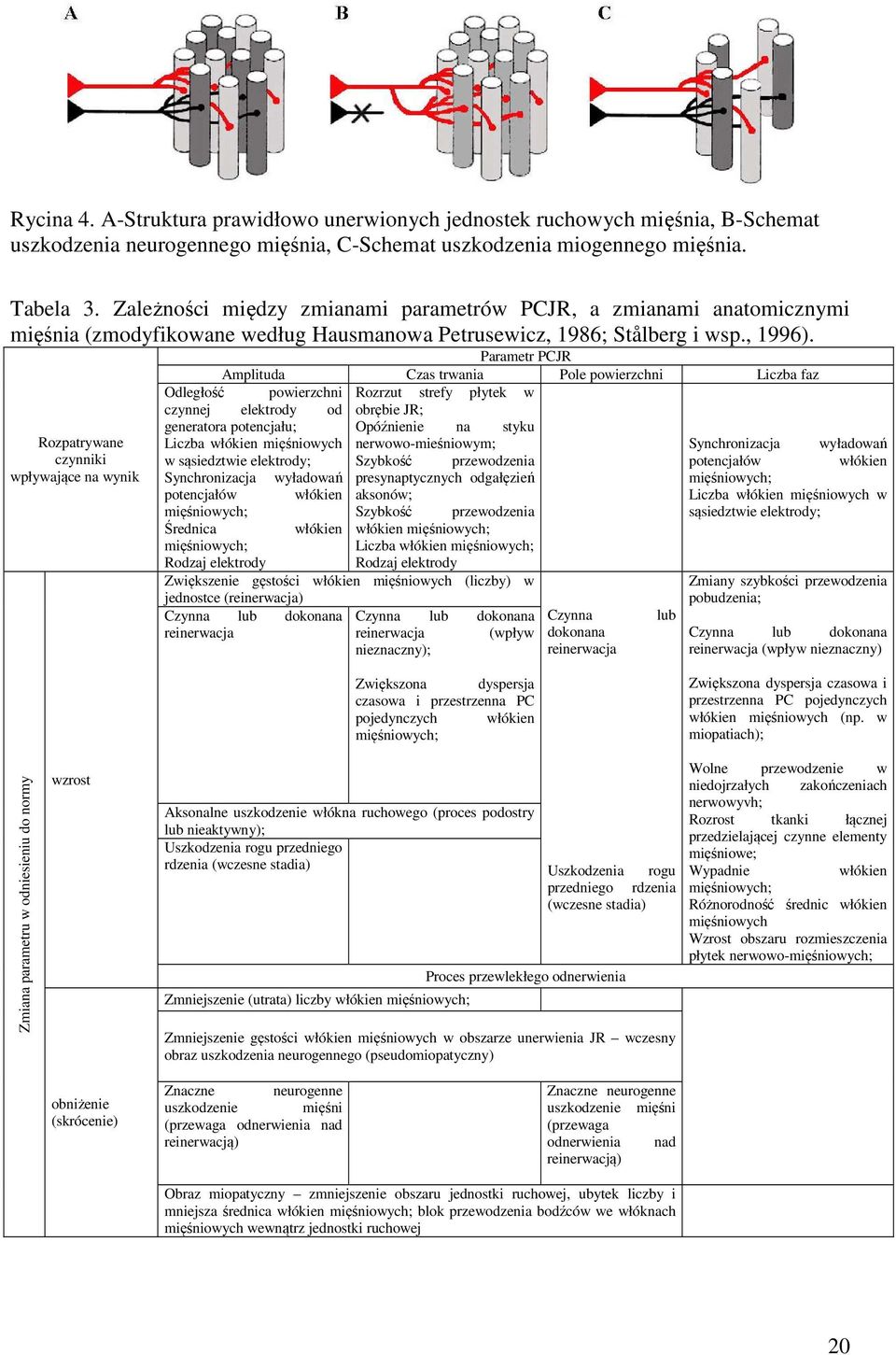 Rozpatrywane czynniki wpływające na wynik Parametr PCJR Amplituda Czas trwania Pole powierzchni Liczba faz Odległość powierzchni Rozrzut strefy płytek w czynnej elektrody od obrębie JR; generatora