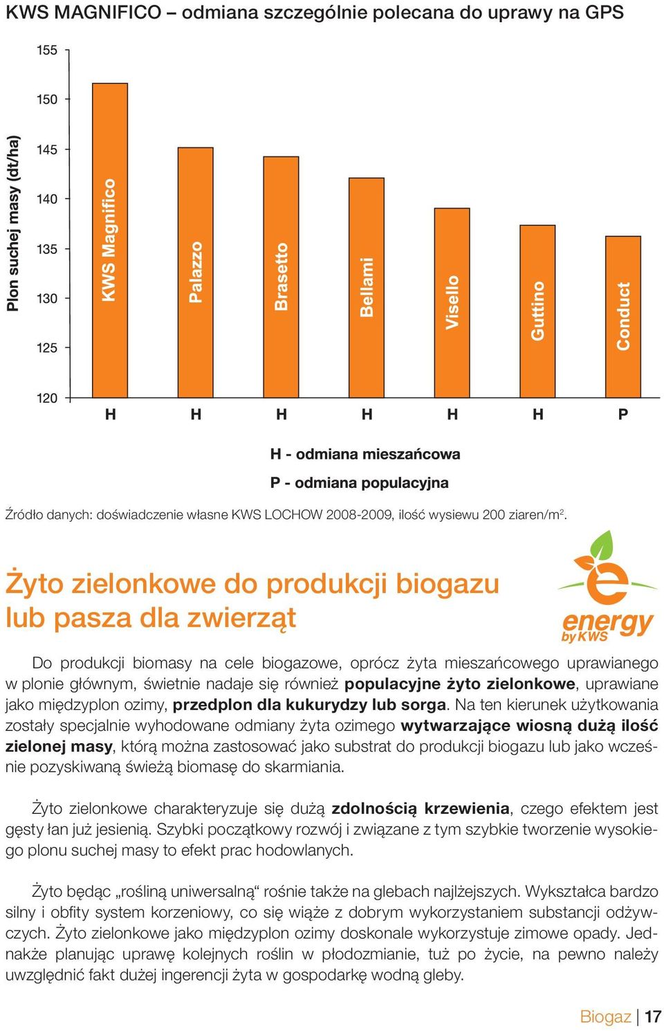 żyto zielonkowe, uprawiane jako międzyplon ozimy, przedplon dla kukurydzy lub sorga.