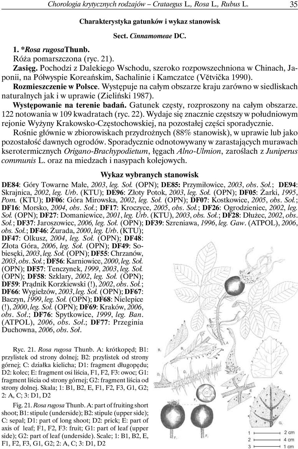 Występuje na całym obszarze kraju zarówno w siedliskach naturalnych jak i w uprawie (Zieliński 1987). Występowanie na terenie badań. Gatunek częsty, rozproszony na całym obszarze.