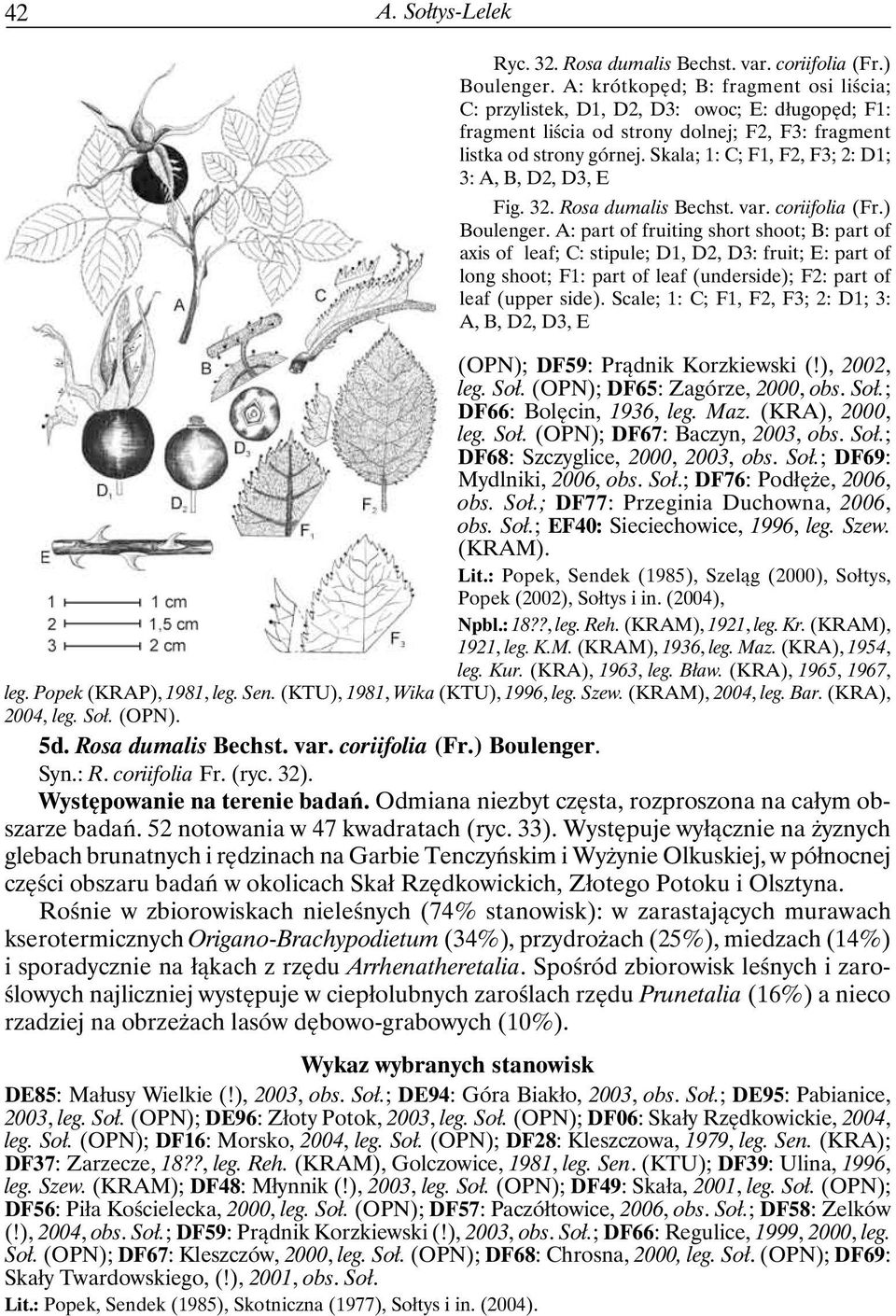 Skala; 1: C; F1, F2, F3; 2: D1; 3: A, B, D2, D3, E Fig. 32. Rosa dumalis Bechst. var. coriifolia (Fr.) Boulenger.