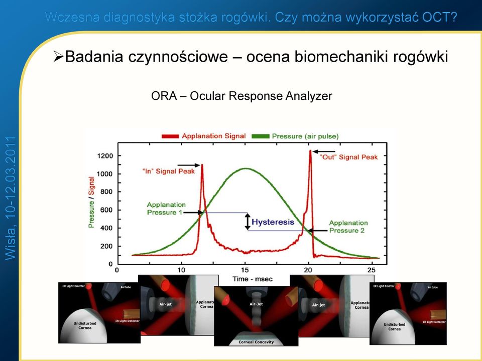 biomechaniki