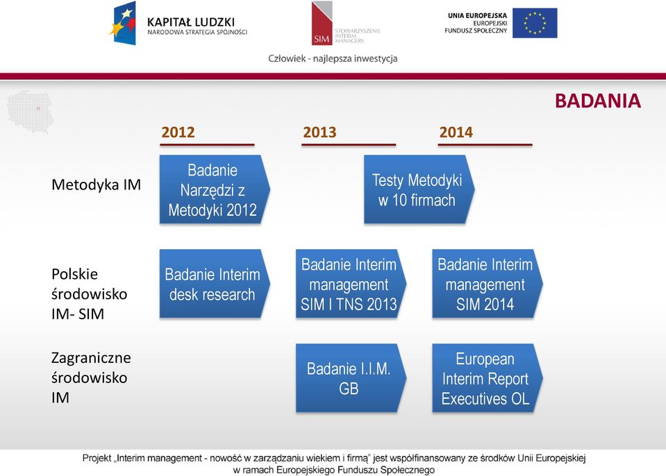 research Badanie Interim management SIM I TNS 2013 Badanie Interim management