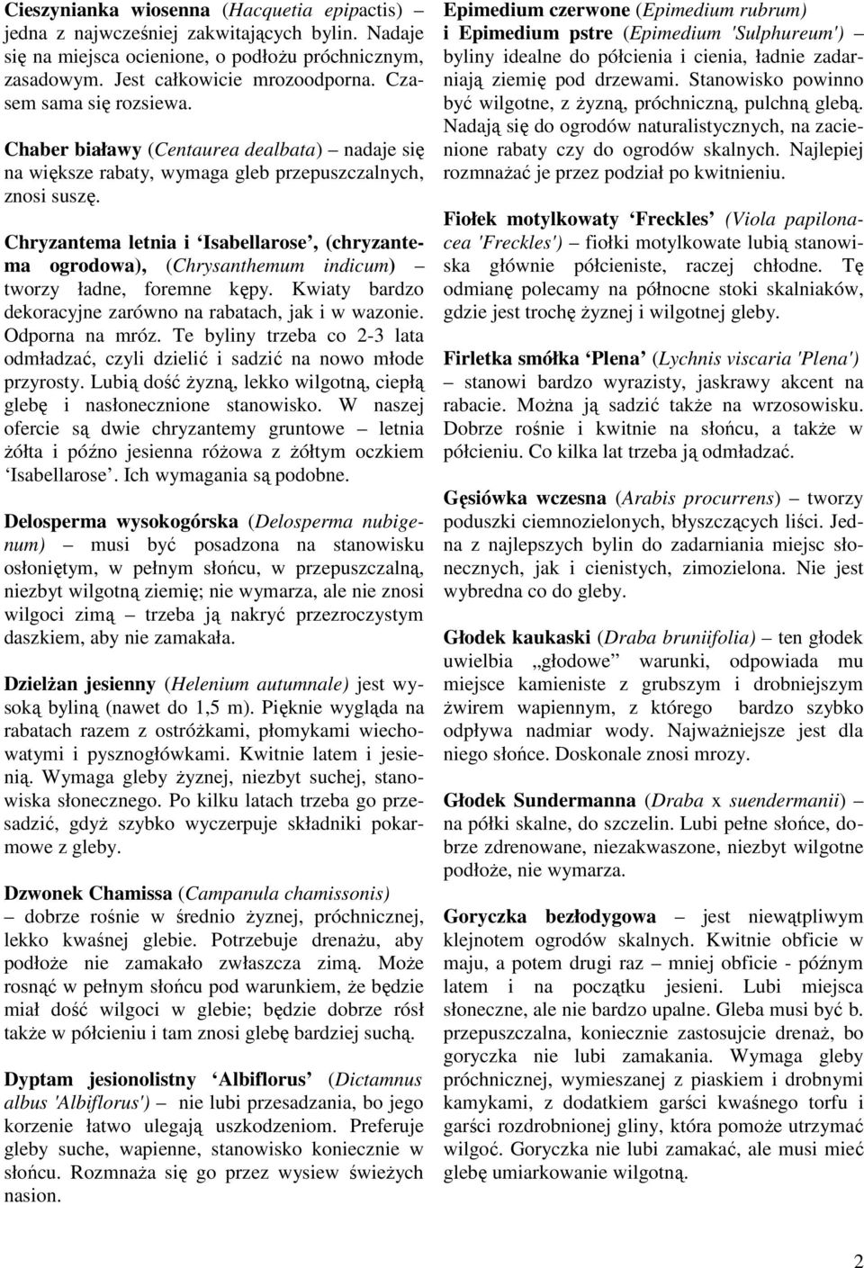 Chryzantema letnia i Isabellarose, (chryzantema ogrodowa), (Chrysanthemum indicum) tworzy ładne, foremne kępy. Kwiaty bardzo dekoracyjne zarówno na rabatach, jak i w wazonie. Odporna na mróz.
