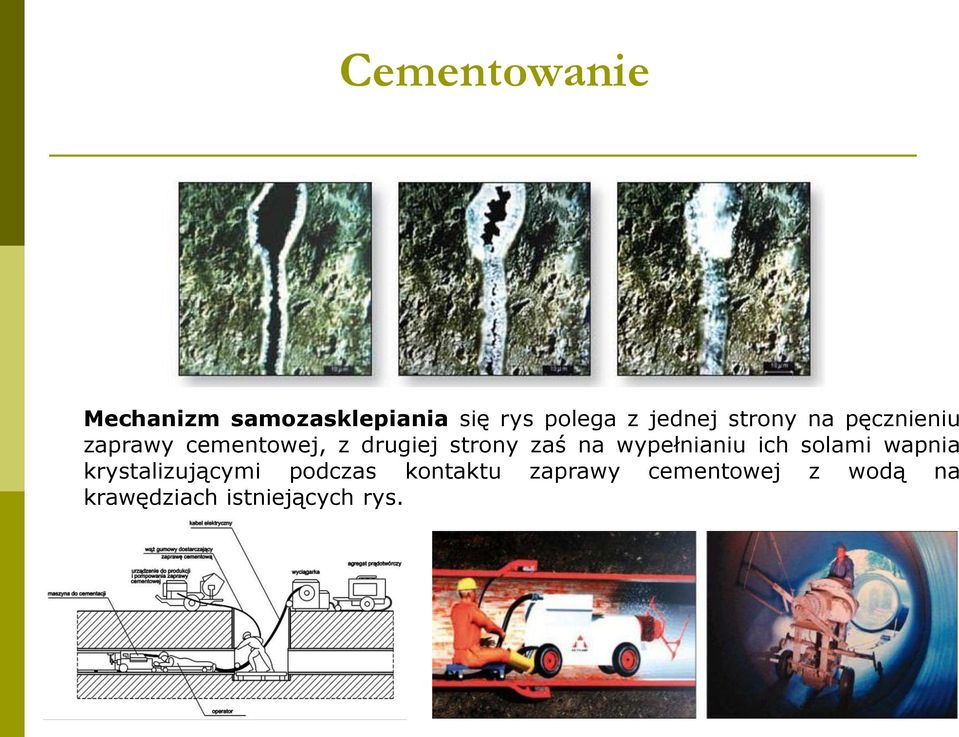 strony zaś na wypełnianiu ich solami wapnia krystalizującymi