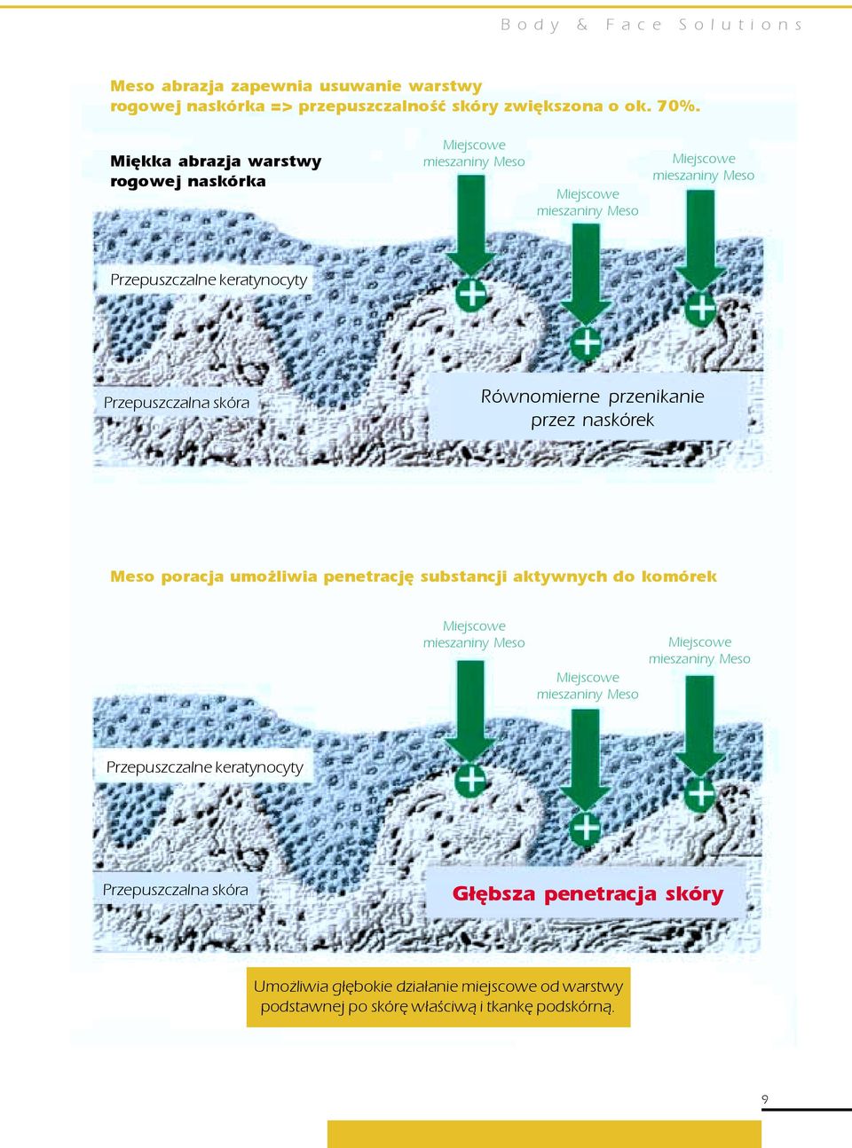 naskórek Meso poracja umo liwia penetracjê substancji aktywnych do komórek Przepuszczalne keratynocyty Przepuszczalna skóra