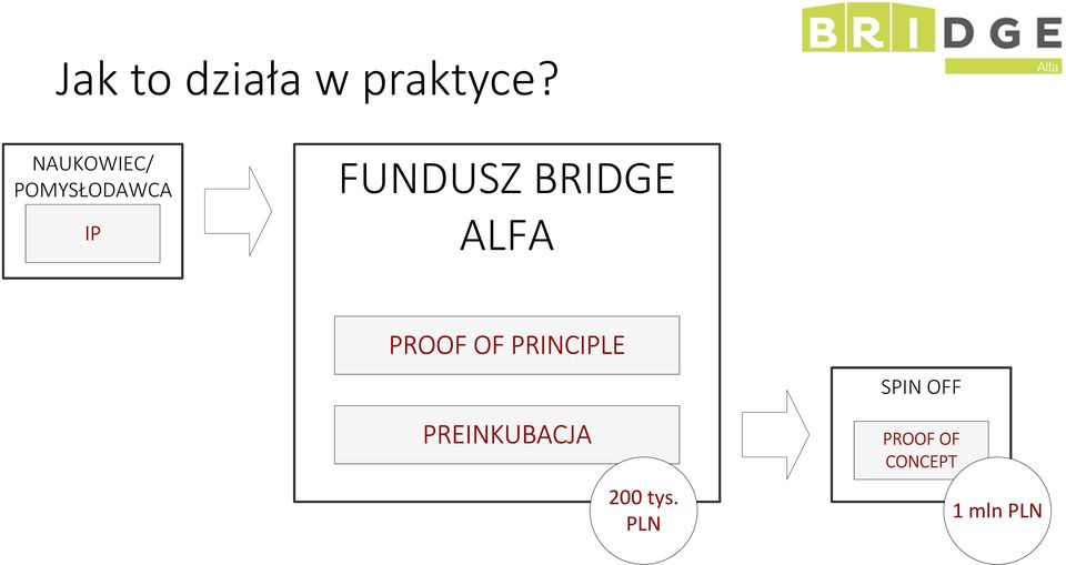 BRIDGE ALFA PROOF OF PRINCIPLE SPIN