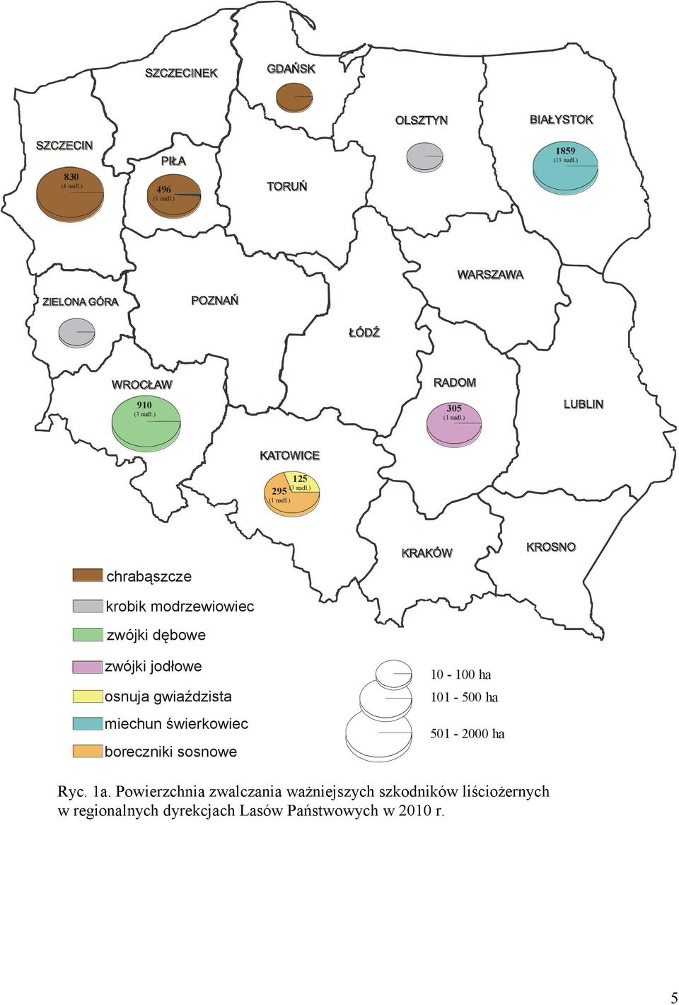 ) chrabąszcze krobik modrzewiowiec zwójki dębowe zwójki jodłowe osnuja gwiaździsta miechun