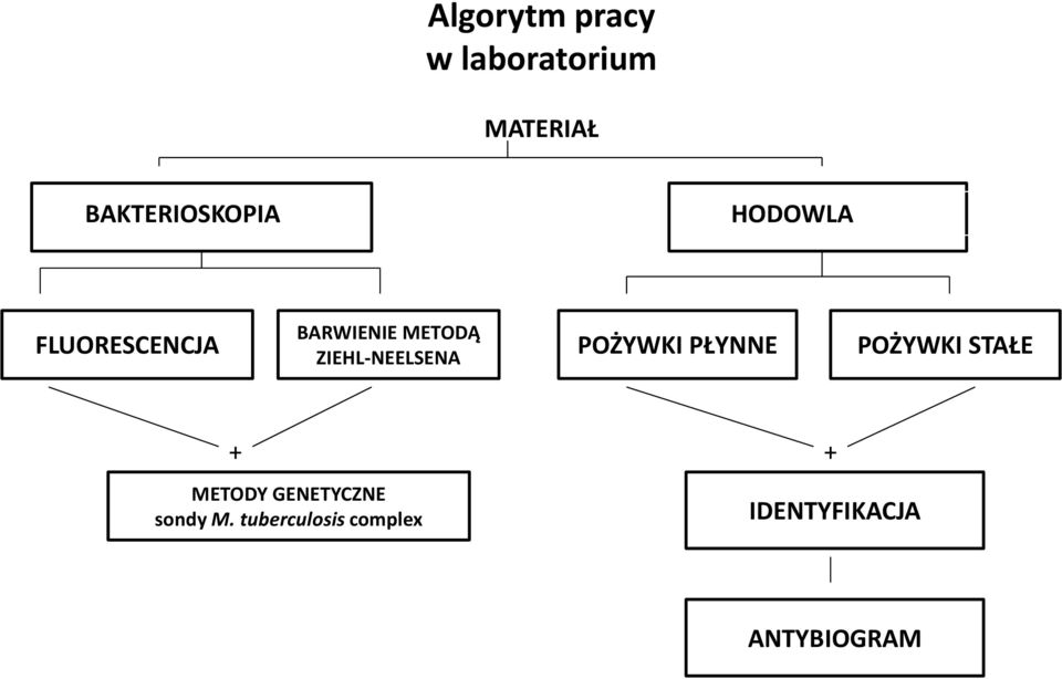 POŻYWKI PŁYNNE POŻYWKI STAŁE + + METODY GENETYCZNE