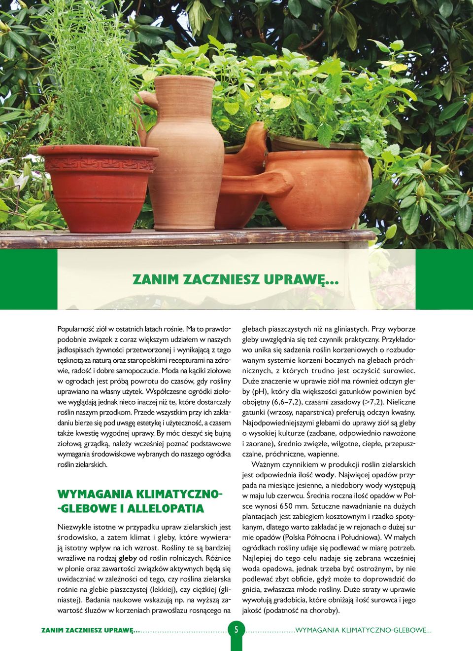 samopoczucie. Moda na kąciki ziołowe w ogrodach jest próbą powrotu do czasów, gdy rośliny uprawiano na własny użytek.
