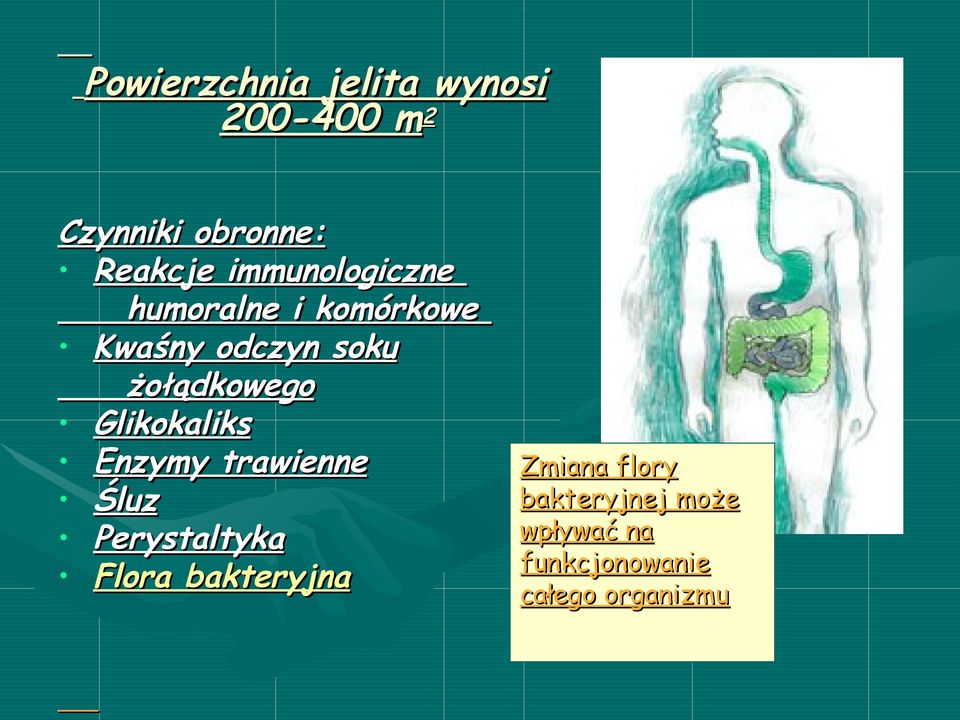 Glikokaliks Enzymy trawienne Śluz Perystaltyka Flora bakteryjna