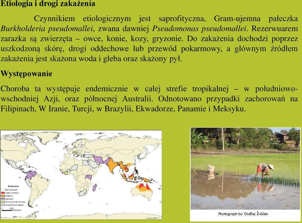Do zakażenia dochodzi poprzez uszkodzoną skórę, drogi oddechowe lub przewód pokarmowy, a głównym źródłem zakażenia jest skażona woda i gleba oraz skażony
