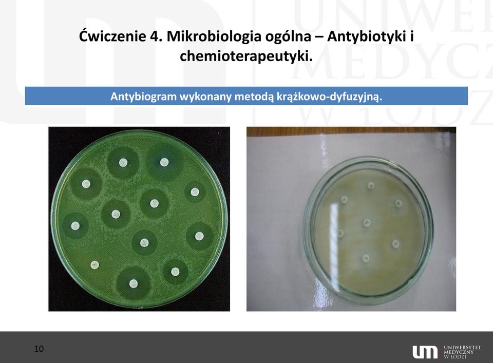 Antybiotyki i