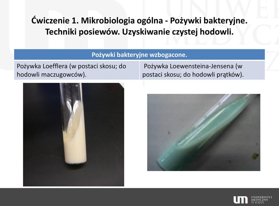 Pożywka Loefflera (w postaci skosu; do hodowli maczugowców).