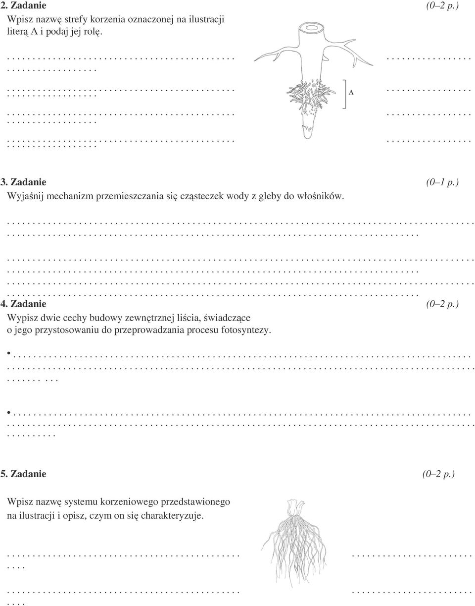 ............................. Wypisz dwie cechy budowy zewnętrznej liścia, świadczące o jego przystosowaniu do przeprowadzania procesu fotosyntezy.