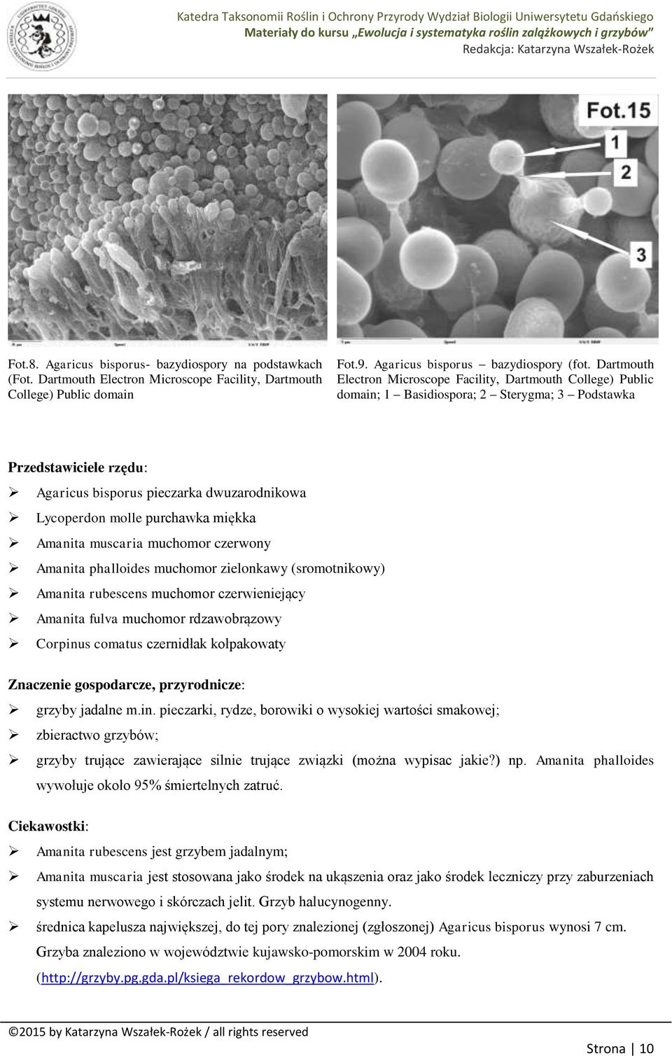 purchawka miękka Amanita muscaria muchomor czerwony Amanita phalloides muchomor zielonkawy (sromotnikowy) Amanita rubescens muchomor czerwieniejący Amanita fulva muchomor rdzawobrązowy Corpinus