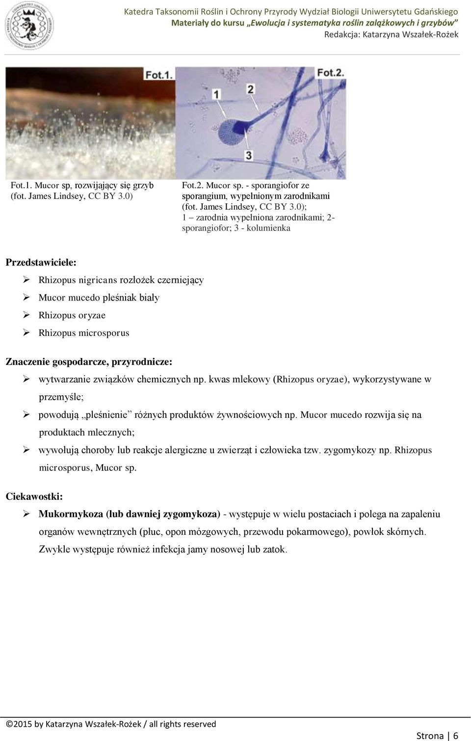 0); 1 zarodnia wypełniona zarodnikami; 2- sporangiofor; 3 - kolumienka Przedstawiciele: Rhizopus nigricans rozłożek czerniejący Mucor mucedo pleśniak biały Rhizopus oryzae Rhizopus microsporus