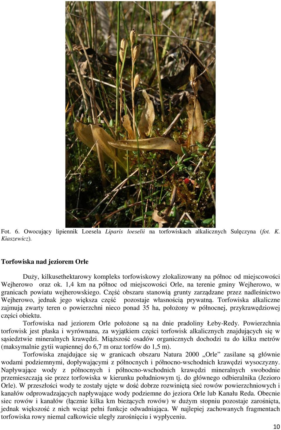 1,4 km na północ od miejscowości Orle, na terenie gminy Wejherowo, w granicach powiatu wejherowskiego.