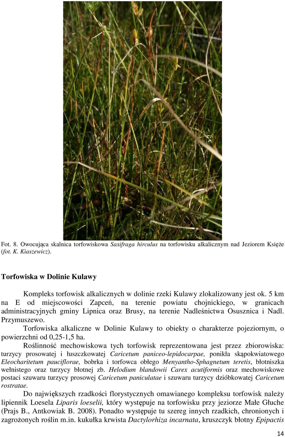 5 km na E od miejscowości Zapceń, na terenie powiatu chojnickiego, w granicach administracyjnych gminy Lipnica oraz Brusy, na terenie Nadleśnictwa Osusznica i Nadl. Przymuszewo.
