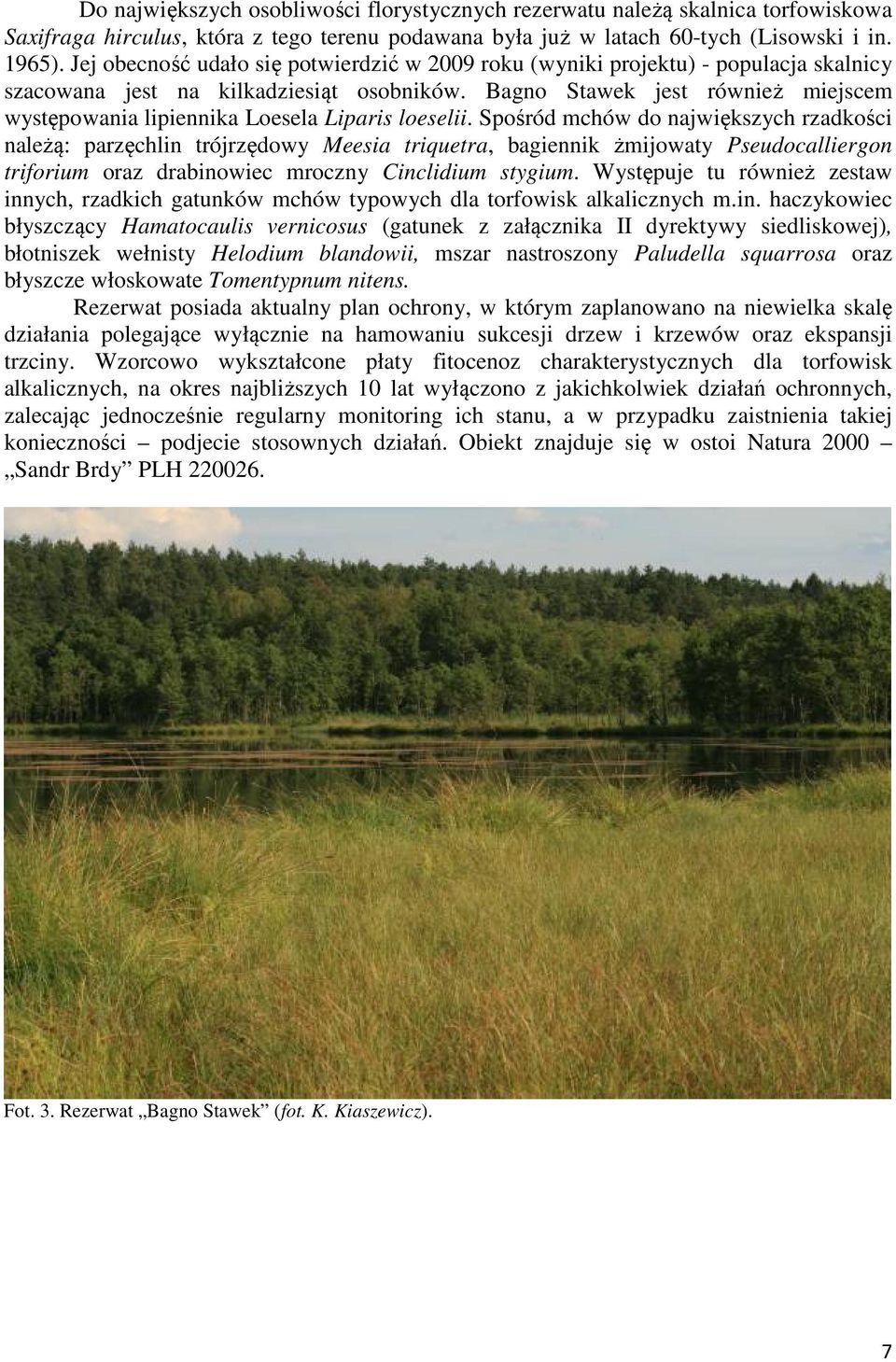 Bagno Stawek jest również miejscem występowania lipiennika Loesela Liparis loeselii.