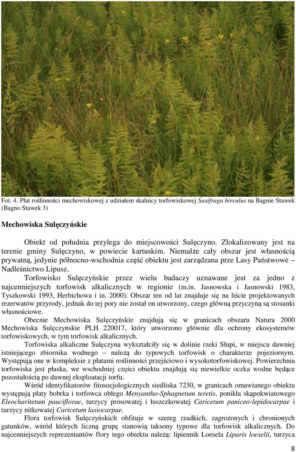 Zlokalizowany jest na terenie gminy Sulęczyno, w powiecie kartuskim.
