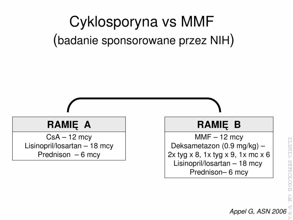 MMF 12 mcy Deksametazon (0.