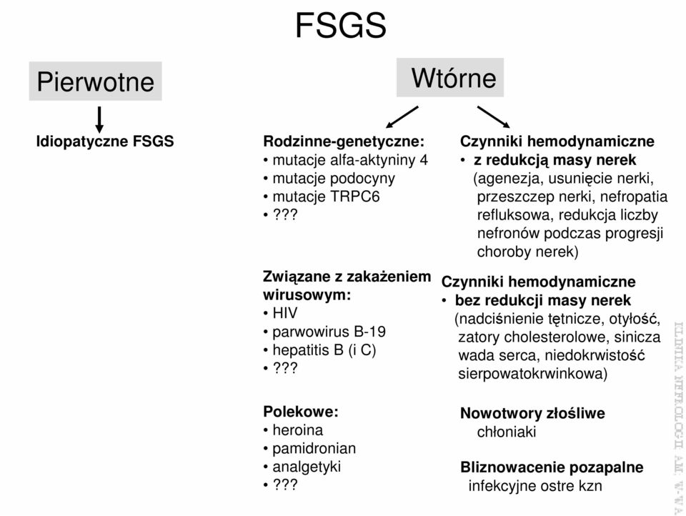 ?? Czynniki hemodynamiczne z redukcją masy nerek (agenezja, usunięcie nerki, przeszczep nerki, nefropatia refluksowa, redukcja liczby nefronów podczas progresji