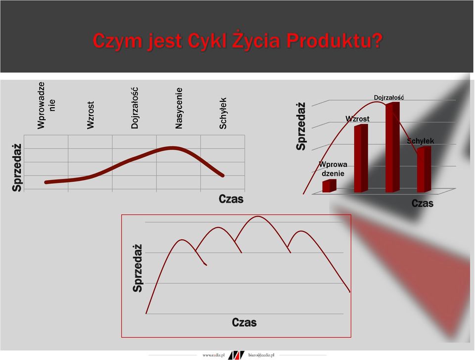 Schyłek Sprzedaż Dojrzałość