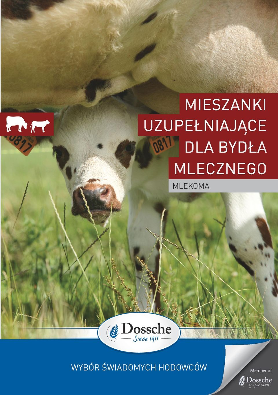 BYDŁA MLECZNEGO