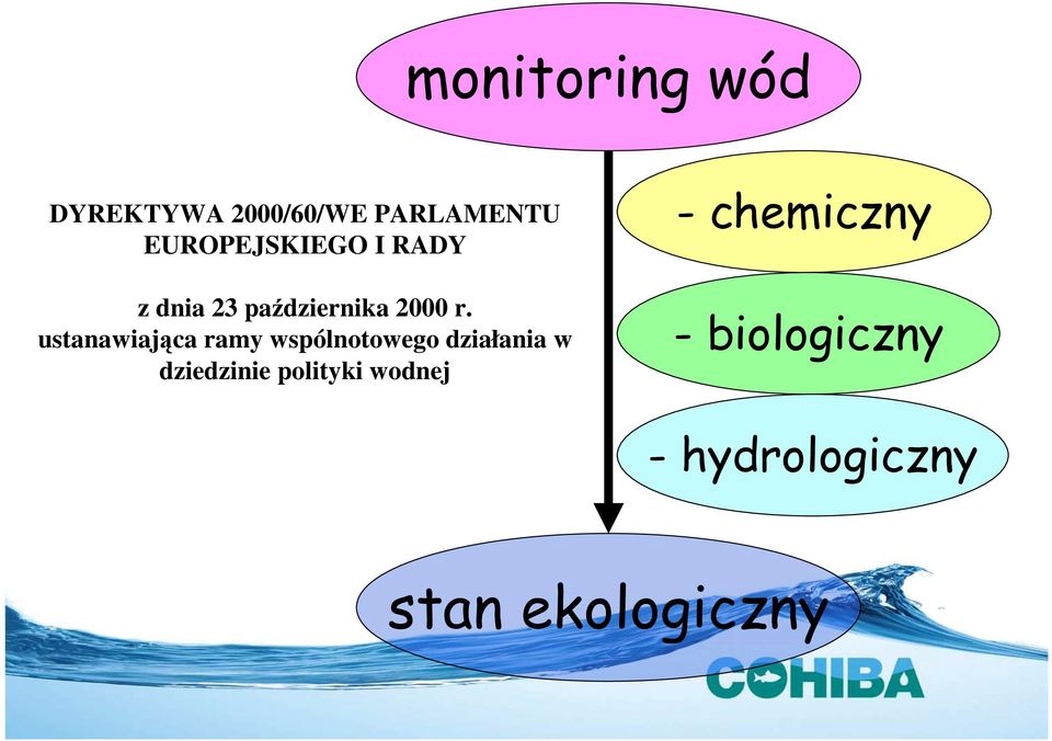 ustanawiająca ramy wspólnotowego działania w dziedzinie