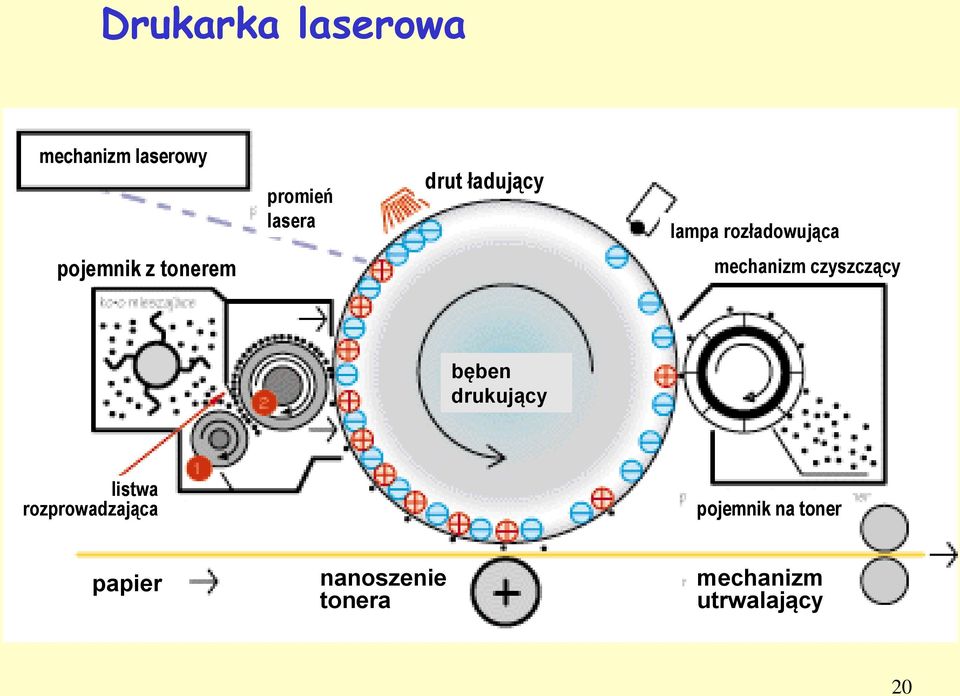 czyszczący bęben drukujący listwa rozprowadzająca