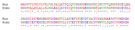 DOPASOWANIE SEKWENCJI AMINOKWASÓW Beta-2-mikroglobulina: Homo sapiens Mus musculus KODY KOLORÓW: KODY DOPASOWANIA: małe [ * ] identyczne kwasowe [ : ] substytucja konserwatywna wymiana w obrębie