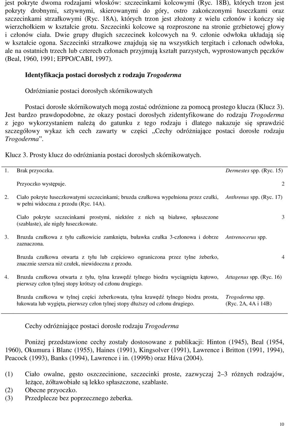 18A), których trzon jest złożony z wielu członów i kończy się wierzchołkiem w kształcie grotu. Szczecinki kolcowe są rozproszone na stronie grzbietowej głowy i członów ciała.