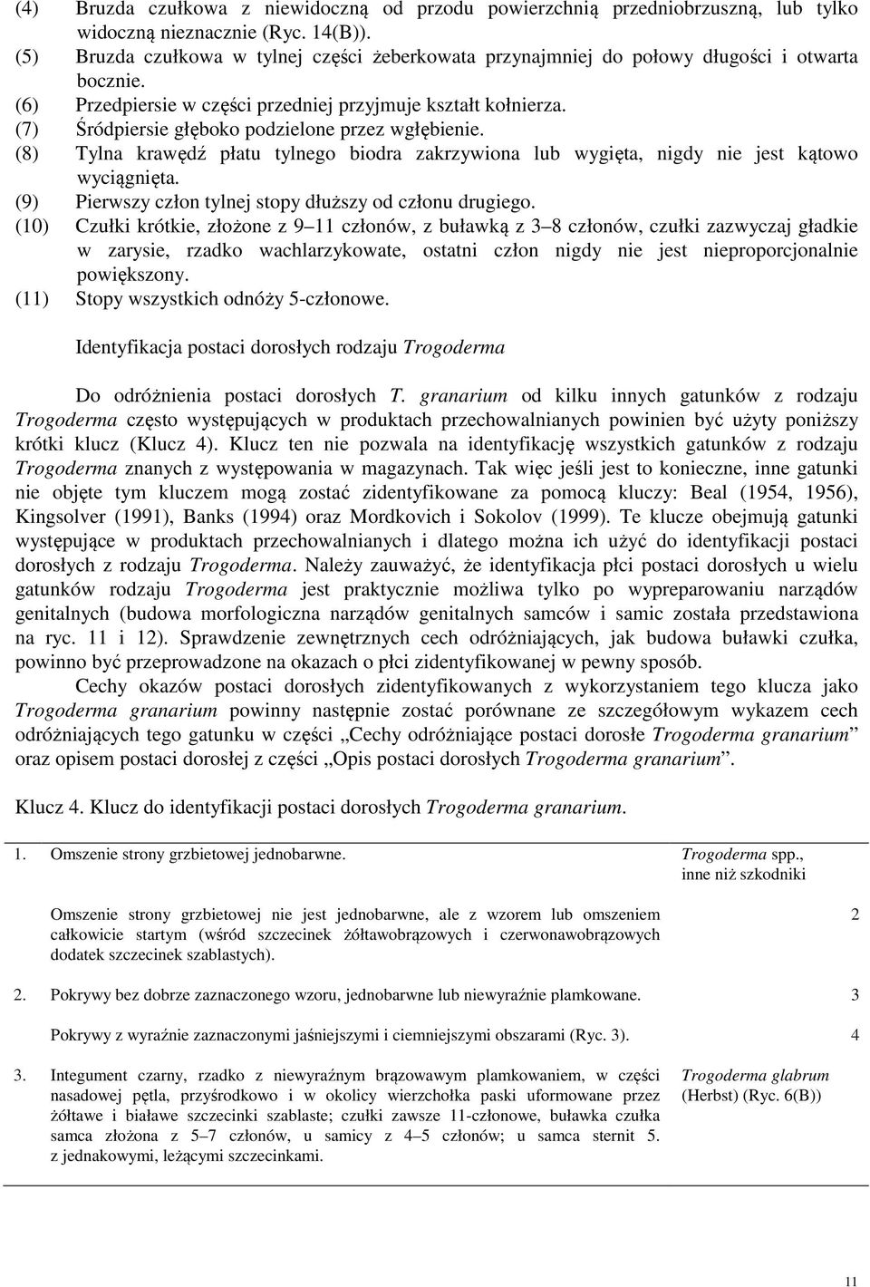 (7) Śródpiersie głęboko podzielone przez wgłębienie. (8) Tylna krawędź płatu tylnego biodra zakrzywiona lub wygięta, nigdy nie jest kątowo wyciągnięta.