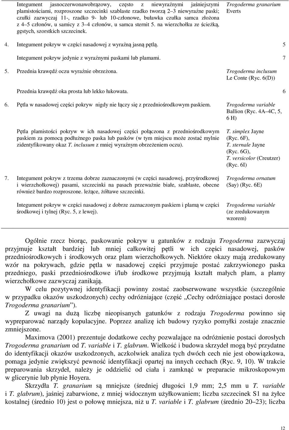 Integument pokryw w części nasadowej z wyraźną jasną pętlą. 5 Integument pokryw jedynie z wyraźnymi paskami lub plamami. 7 5. Przednia krawędź oczu wyraźnie obrzeżona.