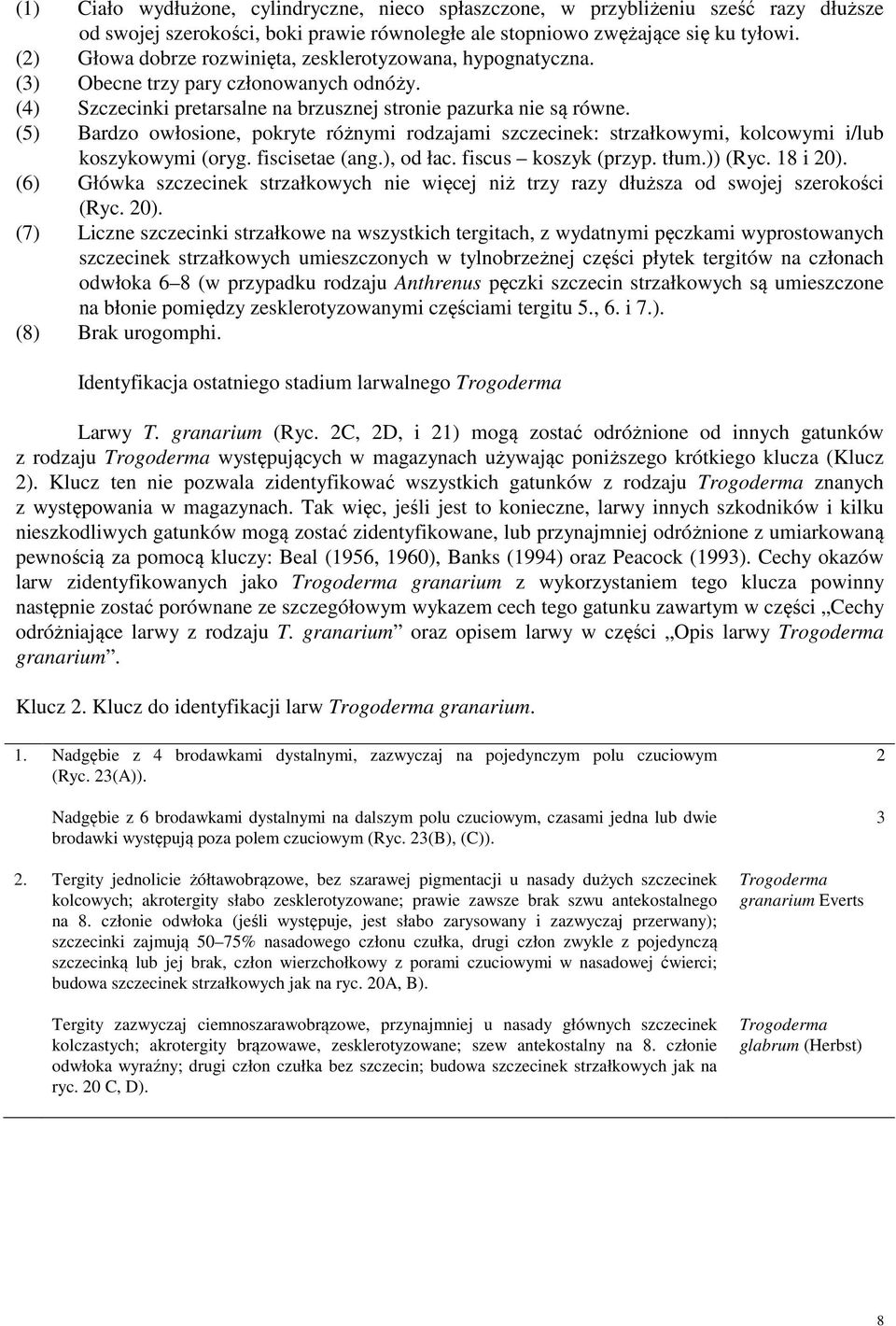 (5) Bardzo owłosione, pokryte różnymi rodzajami szczecinek: strzałkowymi, kolcowymi i/lub koszykowymi (oryg. fiscisetae (ang.), od łac. fiscus koszyk (przyp. tłum.)) (Ryc. 18 i 20).