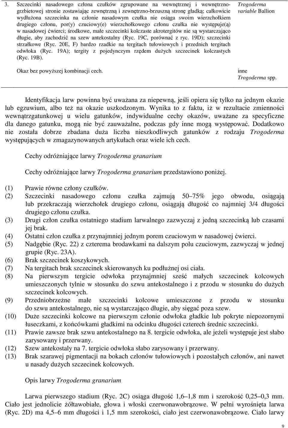 akrotergitów nie są wystarczająco długie, aby zachodzić na szew antekostalny (Ryc. 19C, porównać z ryc. 19D); szczecinki strzałkowe (Ryc.