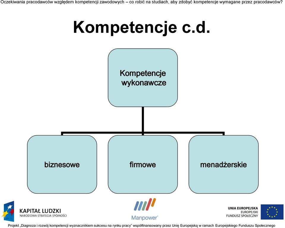 wykonawcze