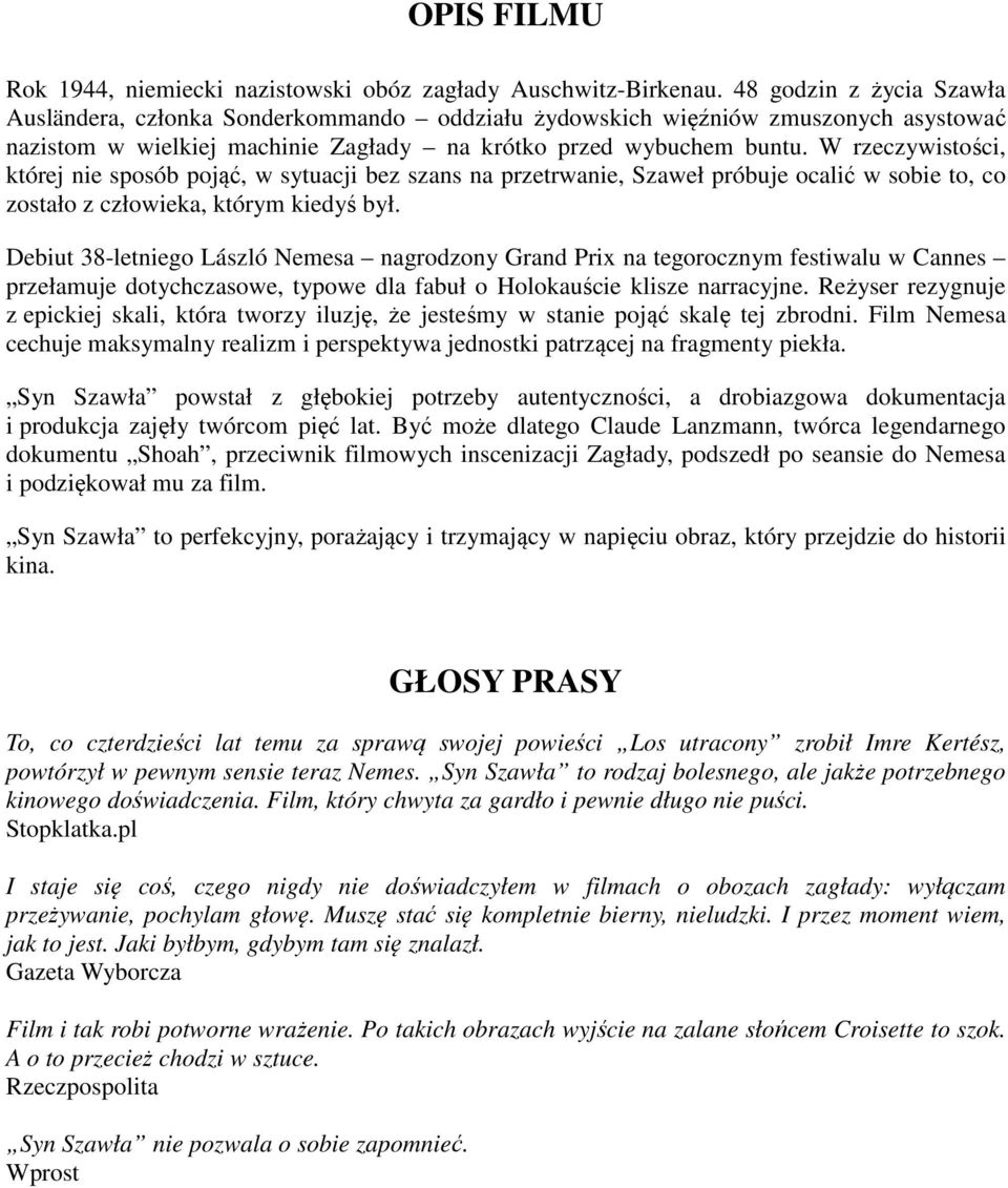 W rzeczywistości, której nie sposób pojąć, w sytuacji bez szans na przetrwanie, Szaweł próbuje ocalić w sobie to, co zostało z człowieka, którym kiedyś był.