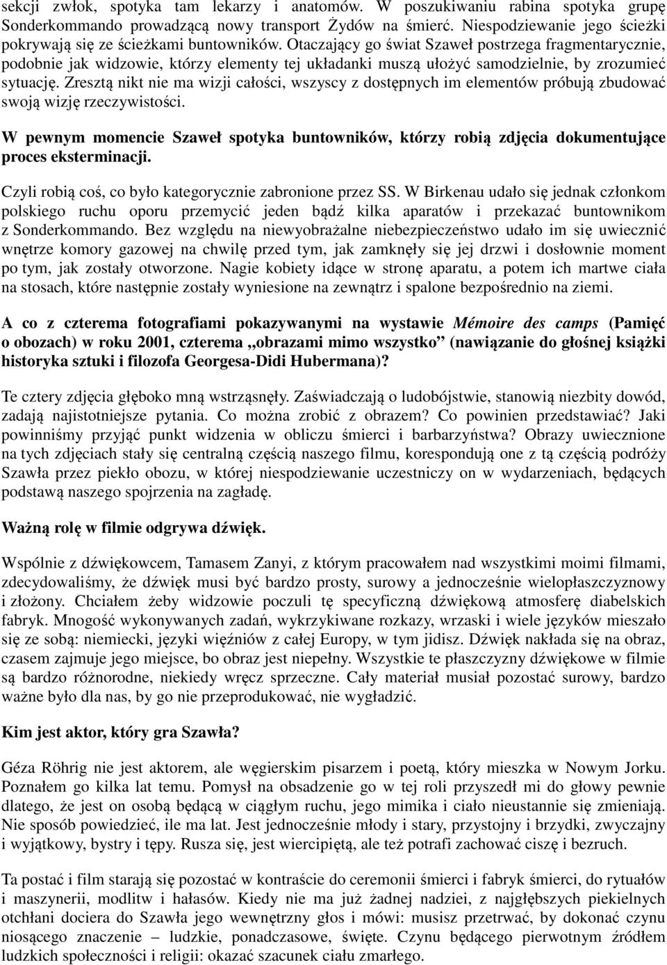 Otaczający go świat Szaweł postrzega fragmentarycznie, podobnie jak widzowie, którzy elementy tej układanki muszą ułożyć samodzielnie, by zrozumieć sytuację.