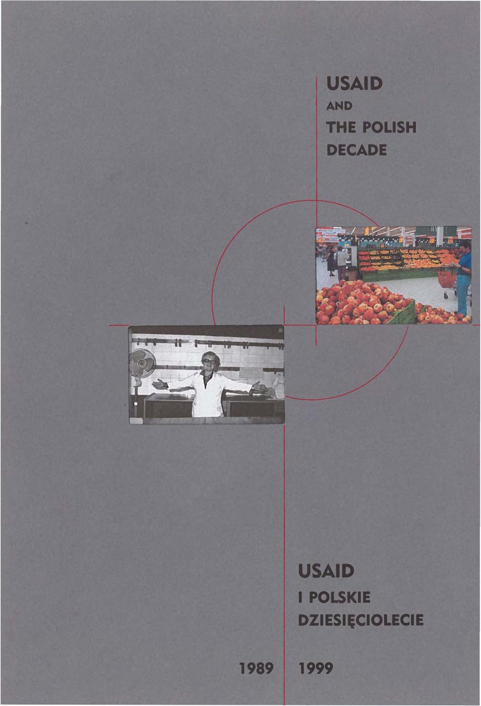 USAID I POLSKIE