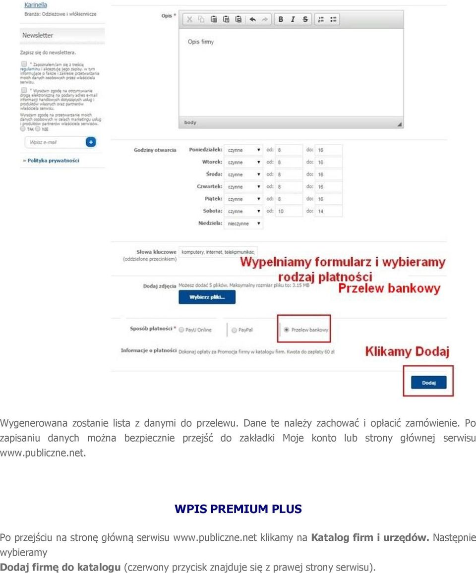 publiczne.net. WPIS PREMIUM PLUS Po przejściu na stronę główną serwisu www.publiczne.net klikamy na Katalog firm i urzędów.