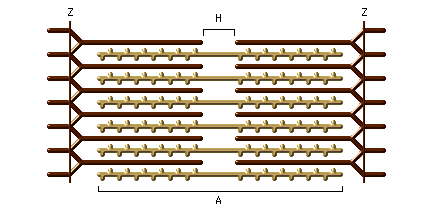 Sarkomer utworzony jest z naprzemiennie ułożonych cienkich (aktyna) i grubych ( miozyna) białek kurczliwych ( miofilamentów) Linia Z- w nich zakotwiczone