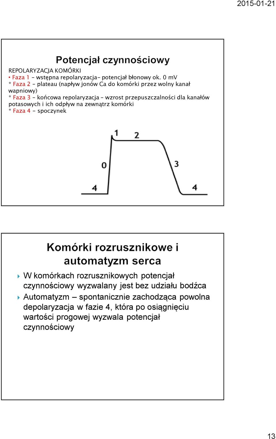 przepuszczalności dla kanałów potasowych i ich odpływ na zewnątrz komórki * Faza 4 - spoczynek W komórkach rozrusznikowych