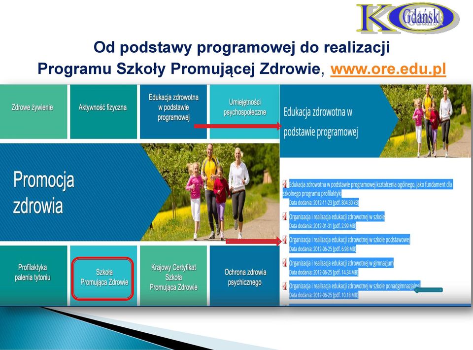 realizacji Programu