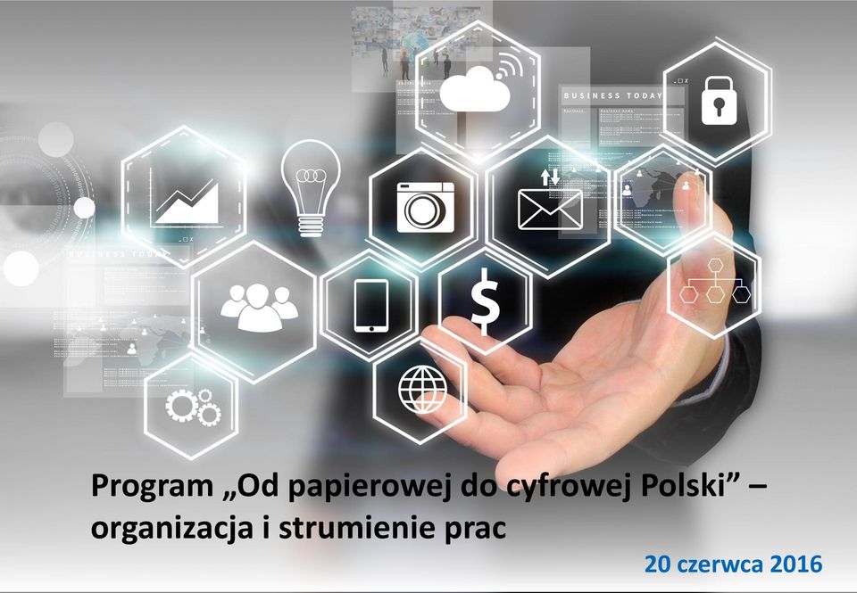 organizacja i