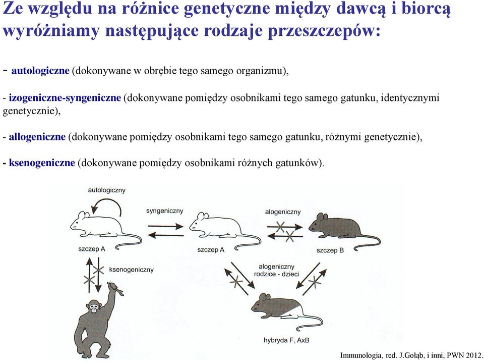 gatunku, identycznymi genetycznie), - allogeniczne (dokonywane pomiędzy osobnikami tego samego gatunku, różnymi